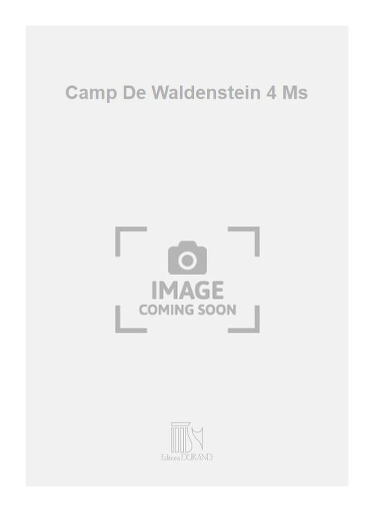Camp De Waldenstein 4 Ms
